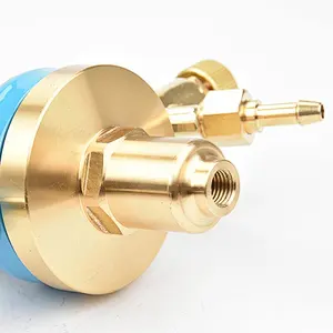 Brass Body Oxygen Gas Pressure Regulator GLOOR Type 200Bar