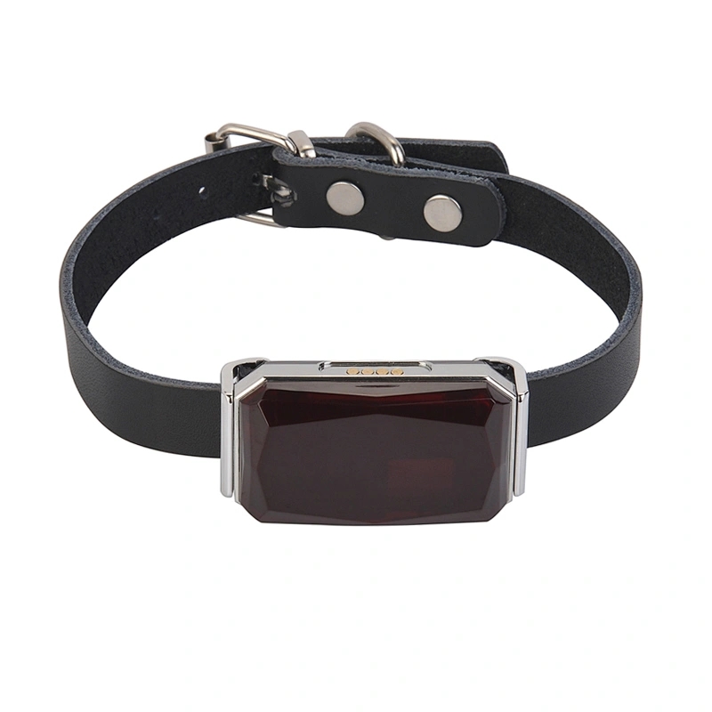 Hot Selling Leather Pet Collars 800 mA Mini Pet Tracker GPS Tracking Positioning Device GSM G12P Durable Waterproof Safe Pet GPS