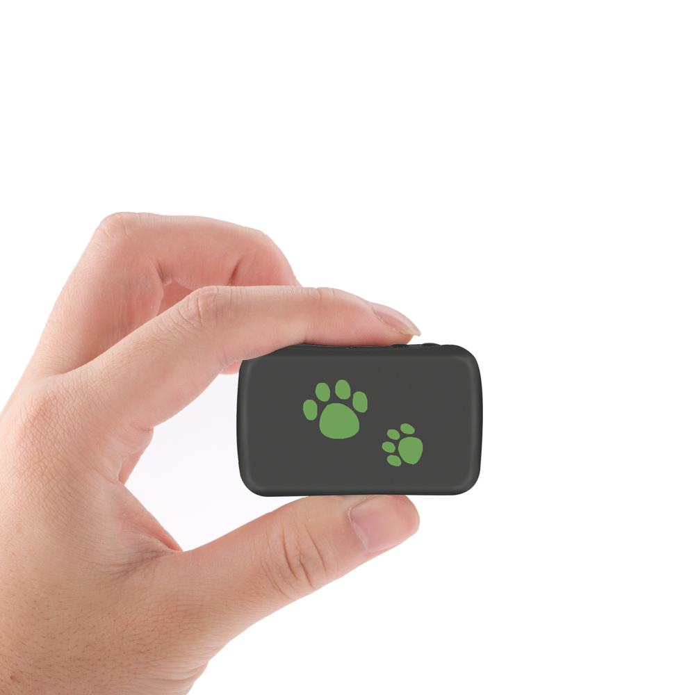 Portable Mini 3G GPS TK-203 For Pet/Dog Real Time SOS Alarm GPS Dog