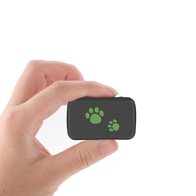 Portable Mini 3G GPS TK-203 For Pet/Dog Real Time SOS Alarm GPS Dog