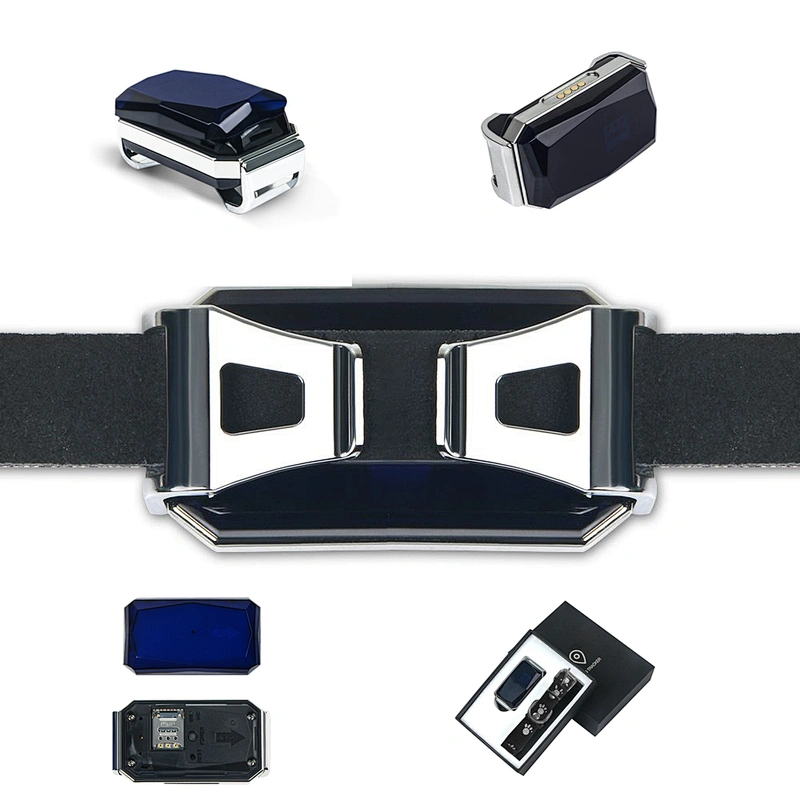Popular Product GSM GPS Dog Collar Geo-fence Free APP Mini GPS G12 Real-time Tracking GPS Dog