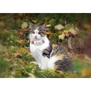 Mini Anti Lost Waterproof Pet Finder Tracker TK STAR 909 GPS tracker  with APP