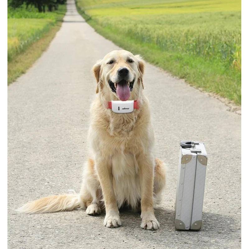 The most popular Pet locator item GPS tracker TK STAR TK909 for Big Dog Gps Tracking device made in china