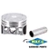 Piston kit