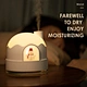 house humidifier