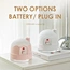 house humidifier