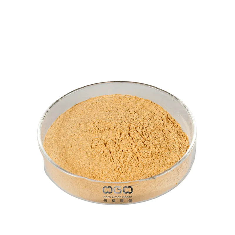 Organic Lion's Mane Mushroom Extract