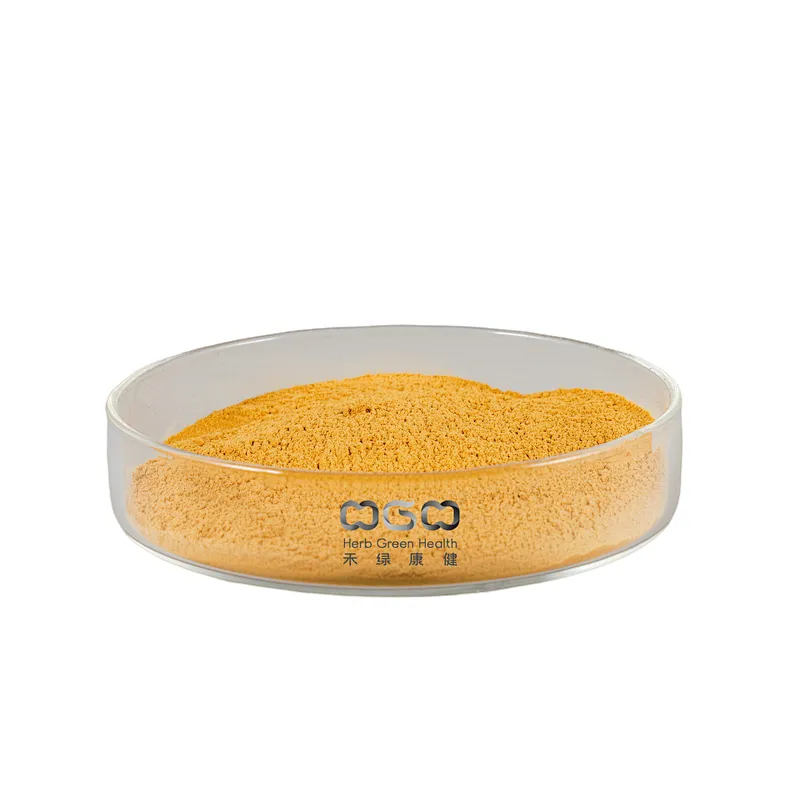 Chrysanthemum Extract