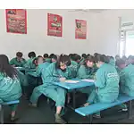 Workshop Discipline Training
