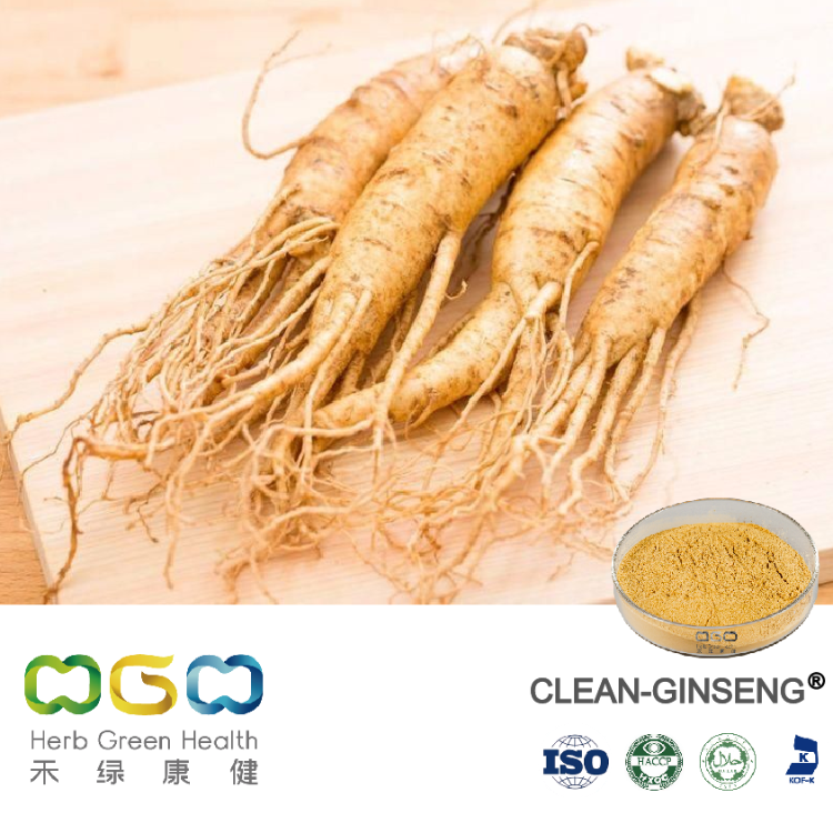 Ginseng Extract