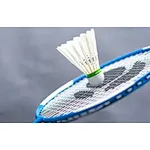 The 2021 “Taiyu Cup” Badminton