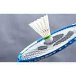 The 2021 “Taiyu Cup” Badminton