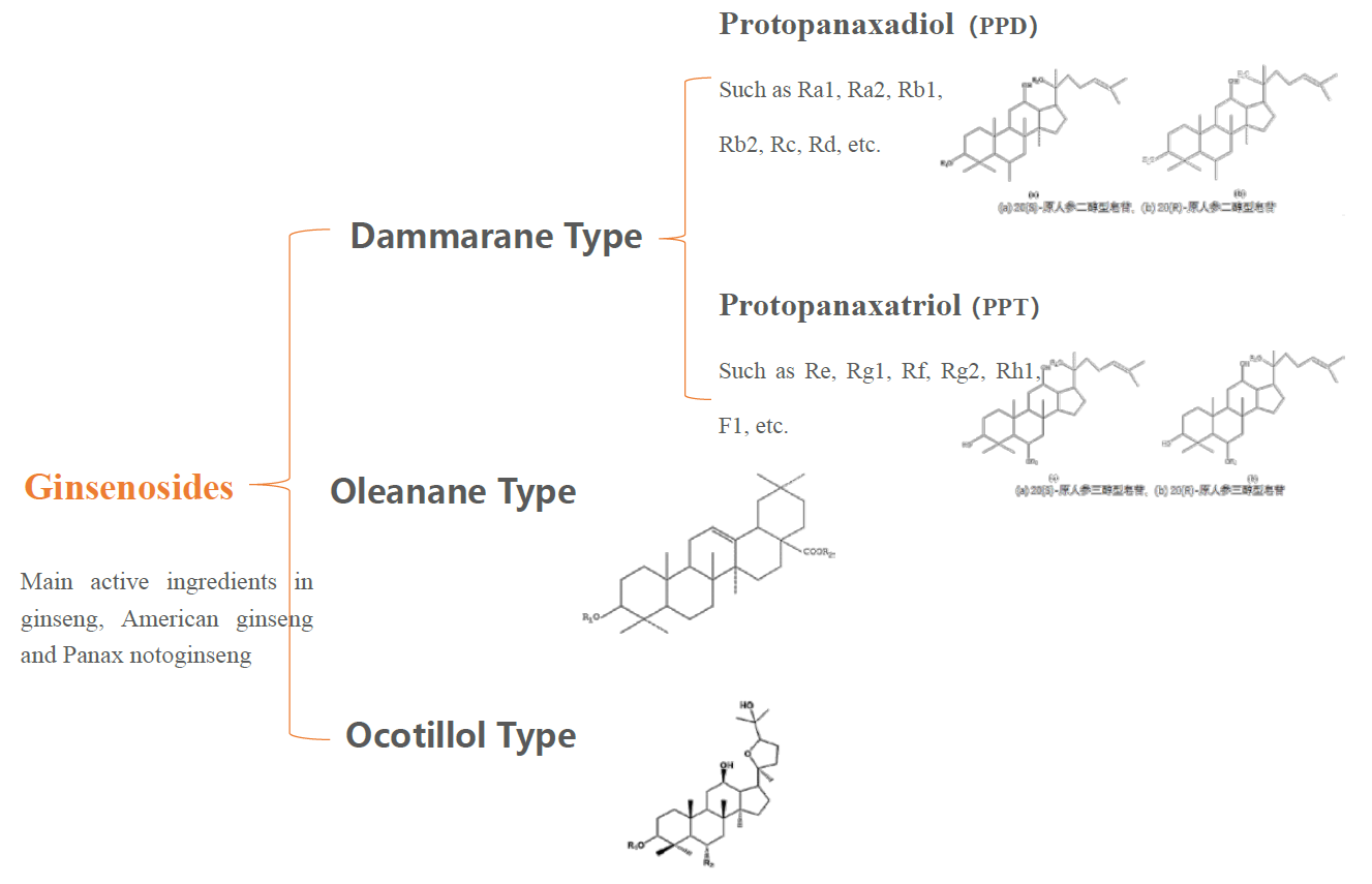 Ginseng Extract