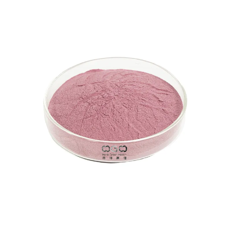 Elderberry SD Powder