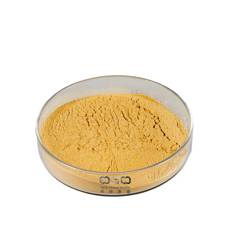Lion's Mane Mushroom Extract