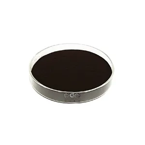 Elderberry (Sambucus) Extract