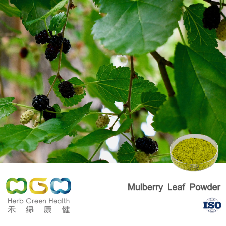 Korean RCT of mulberry extract