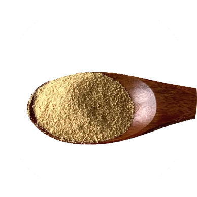 Panax Ginseng Extract Granule
