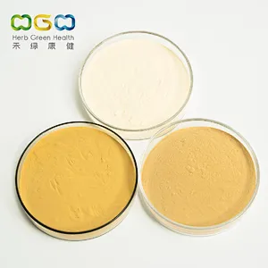 Panax Ginseng Extract
