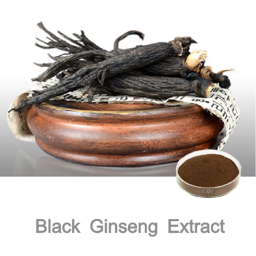 Panax Ginseng Extract Black Ginseng Extract