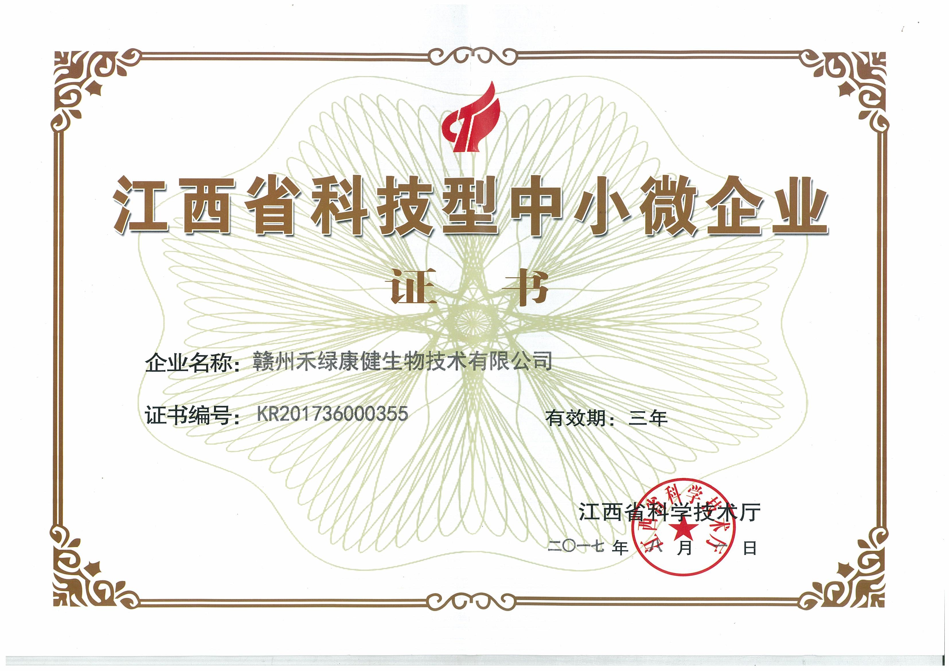 Small, Medium And Micro Enterprise