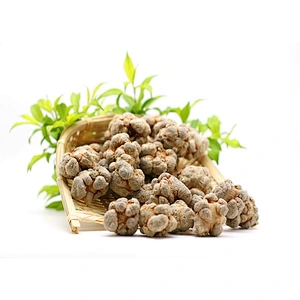 Panax Notoginseng (Tienchi) Extract