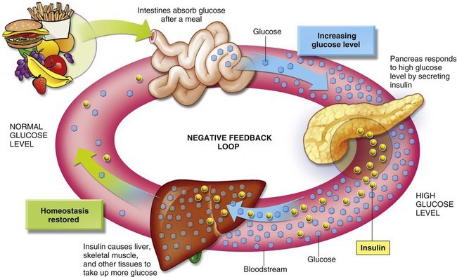 control your blood sugar and weight