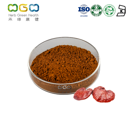 Reishi Mushroom Extract