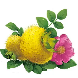 TiroxC® Rosa Extract  17%  VC & 100K SOD