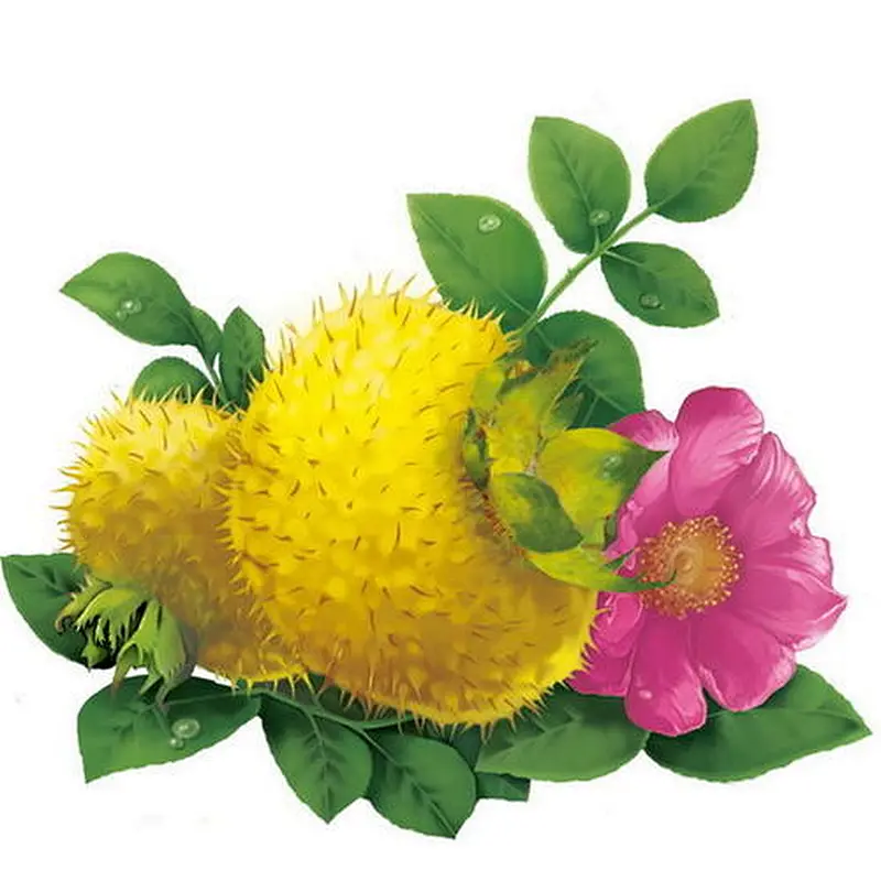 TiroxC® Rosa Extract  17%  VC & 100K SOD