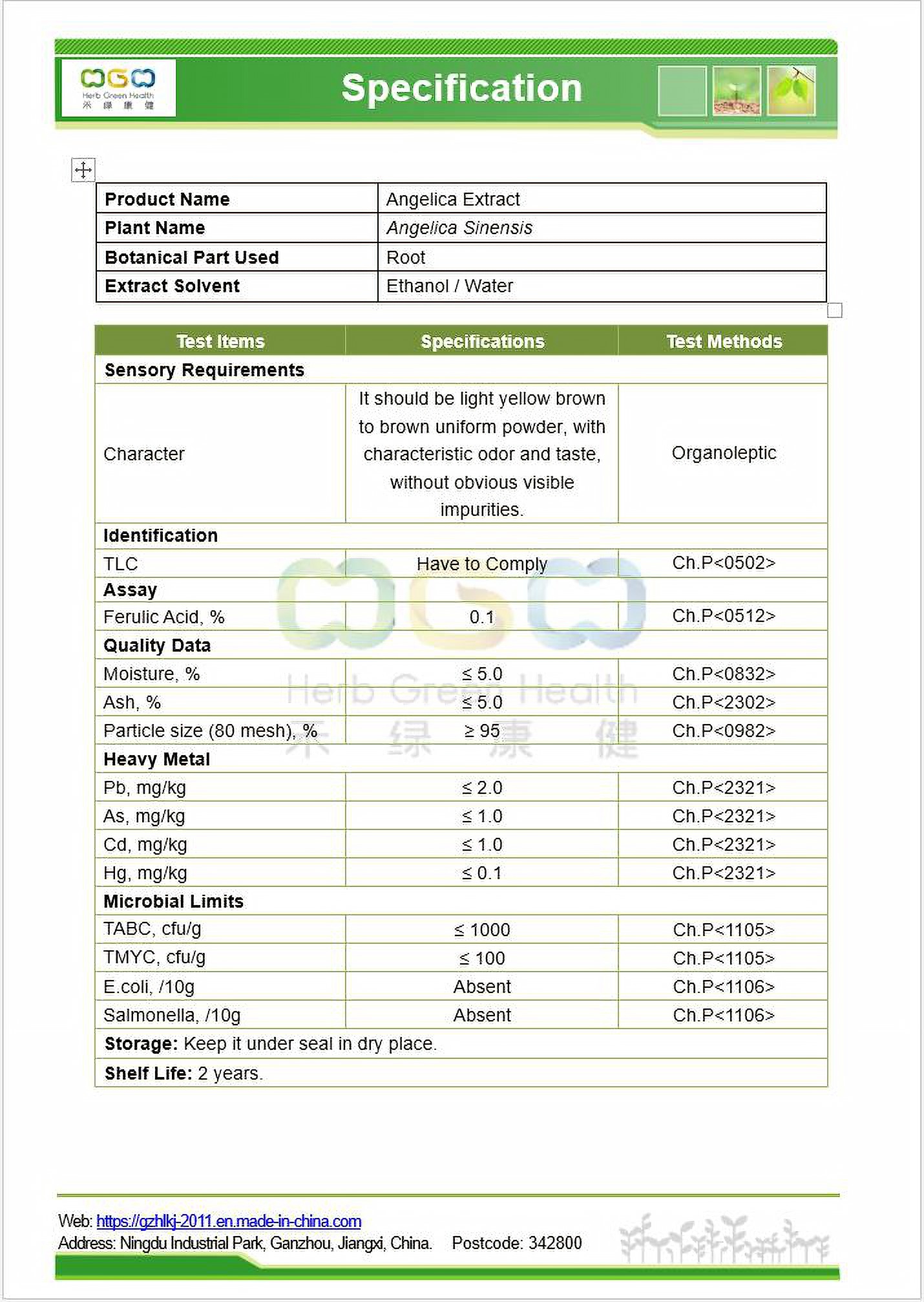 Angelica Extract