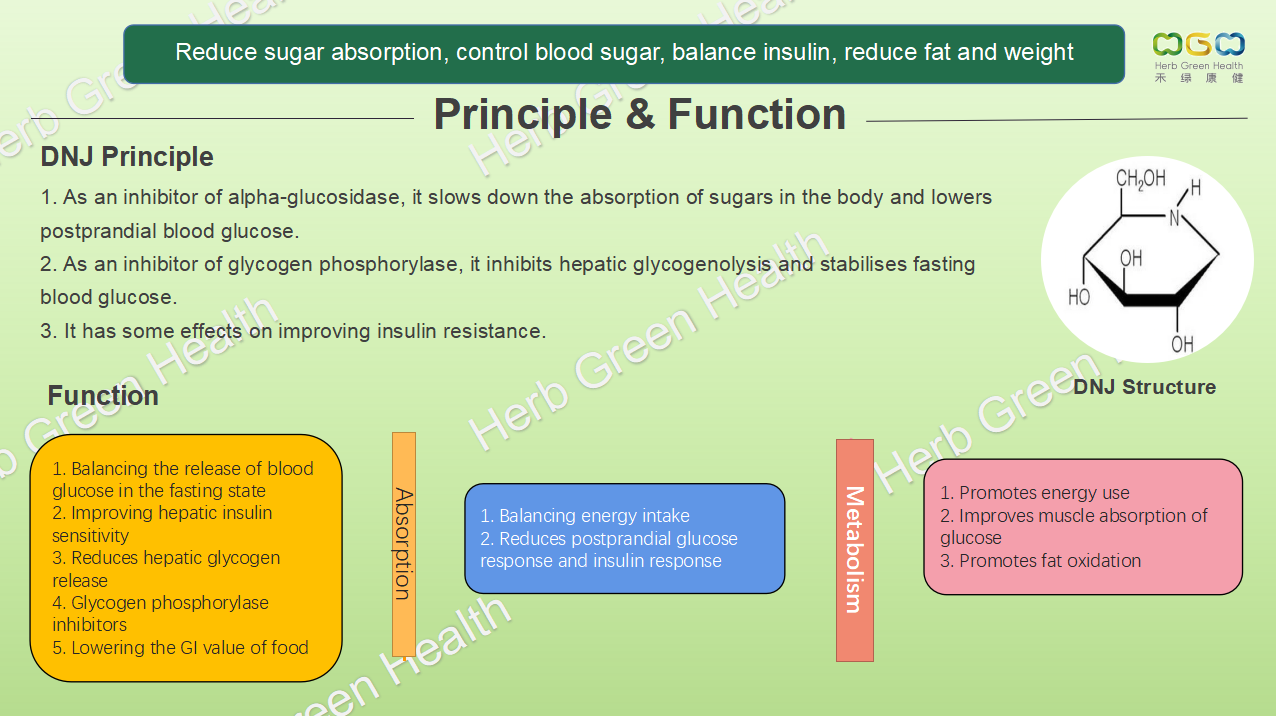 微信图片_20220923095028 Mulberry Leaf Extract