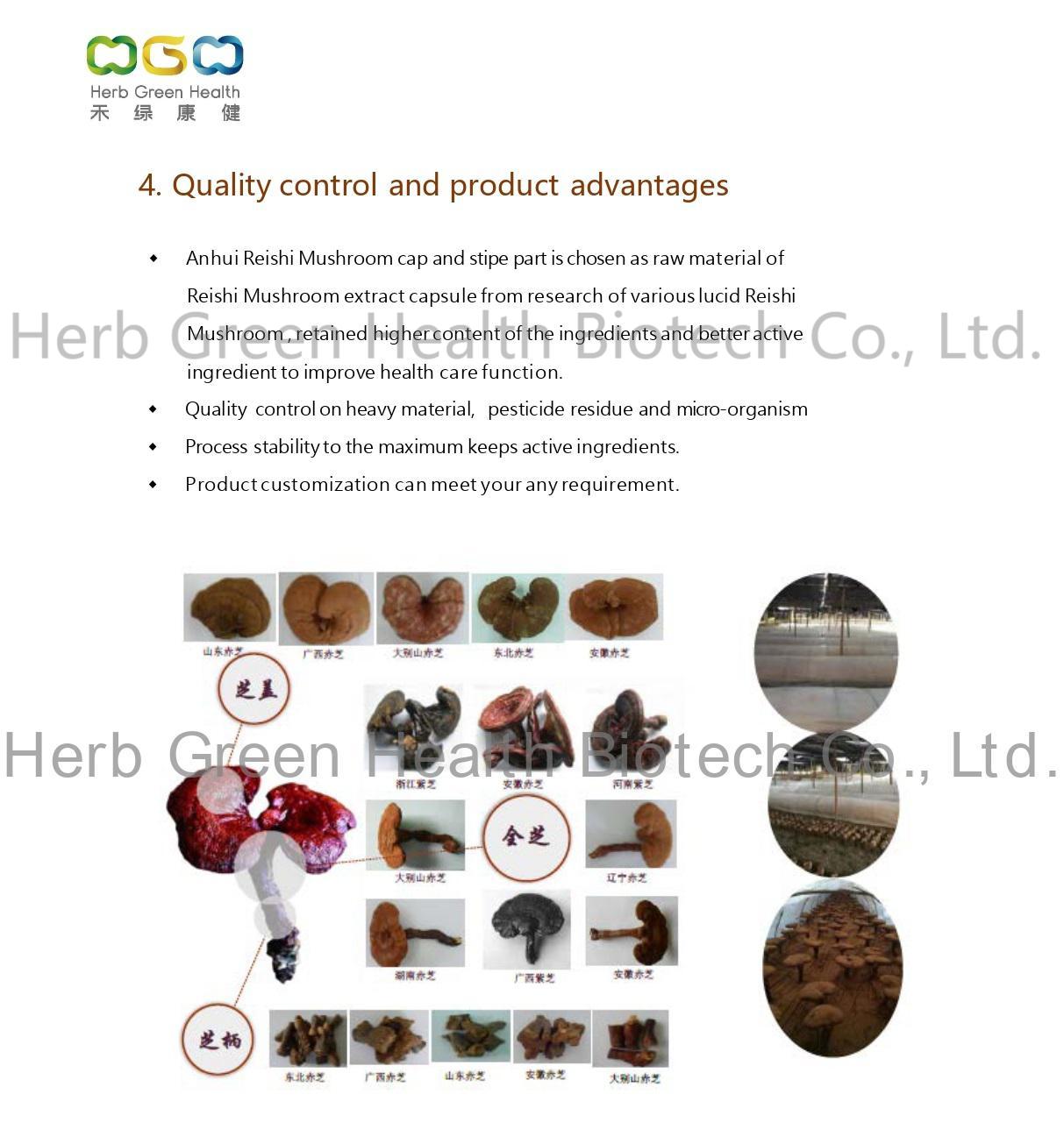 Organic Reishi Mushroom Extract