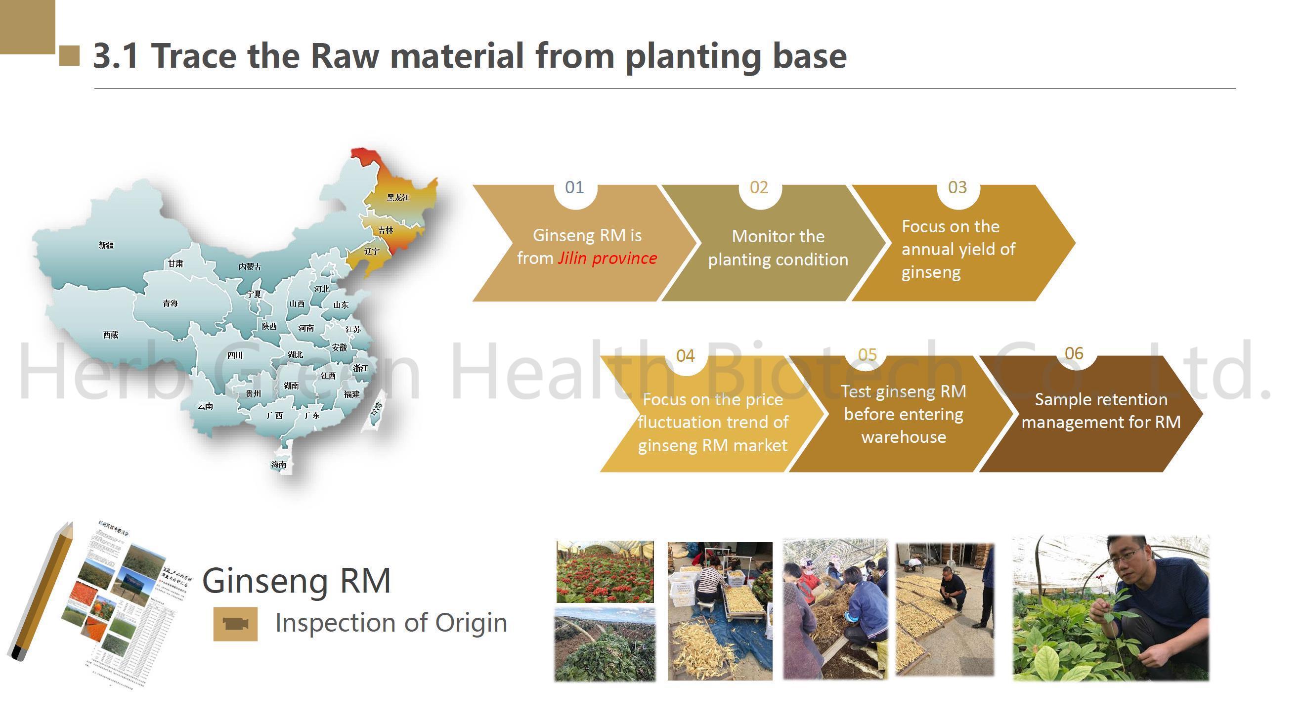 Organic Panax Ginseng Extract
