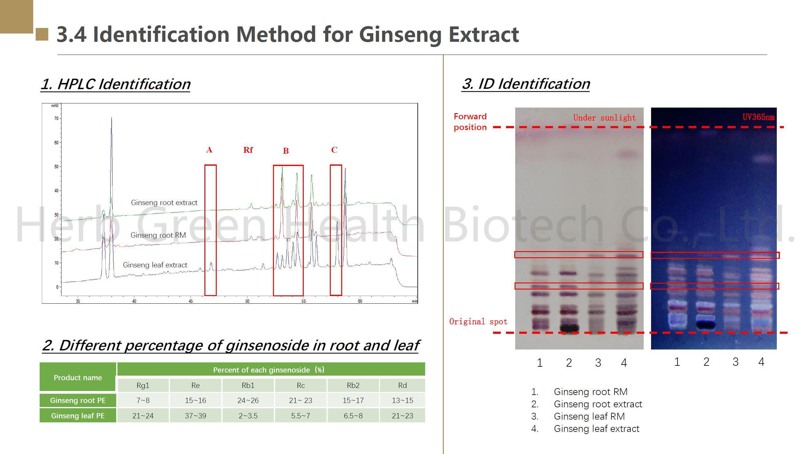Organic Panax Ginseng Extract