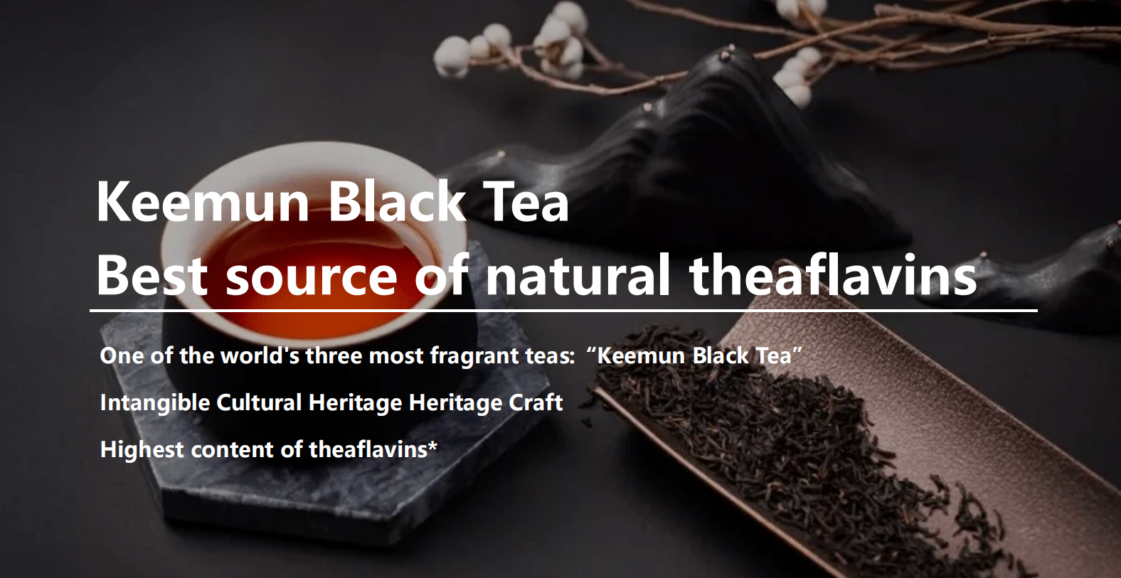 Black Tea Extract