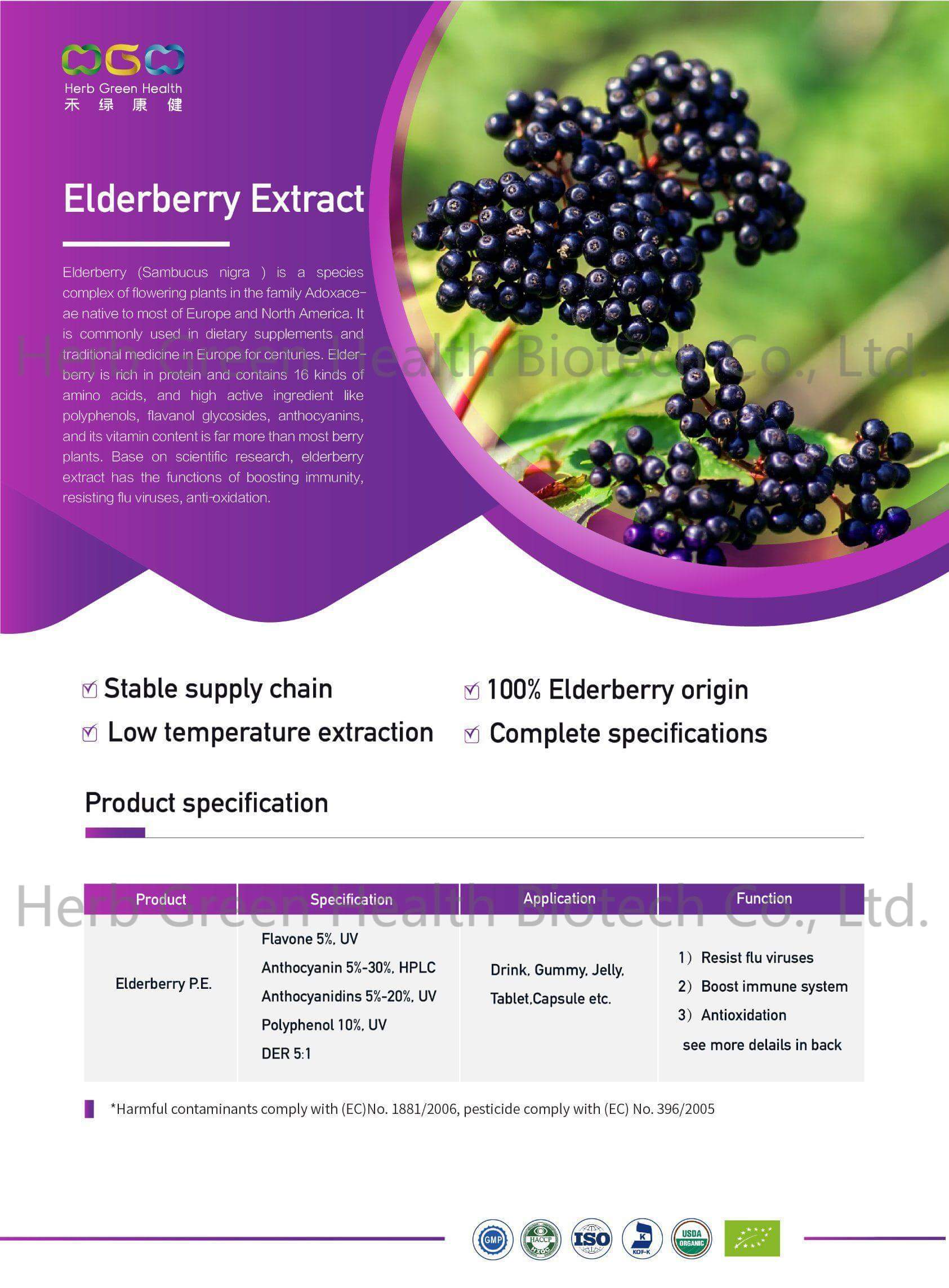 Elderberry (Sambucus) Extract