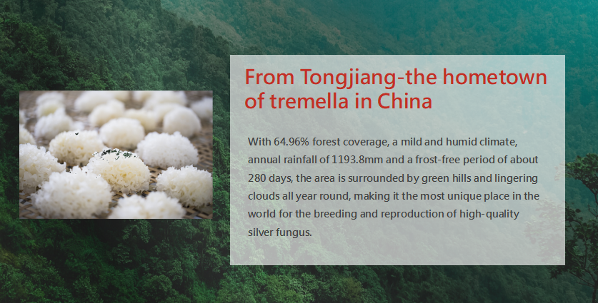 Tremella Extract