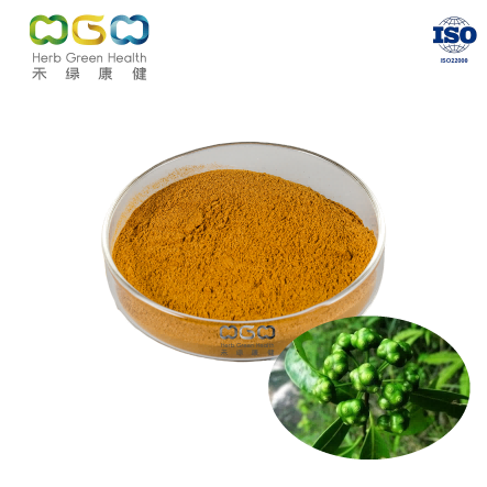 Bacopin Extract