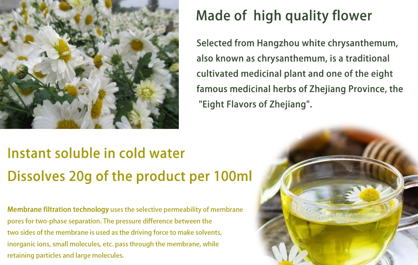 Instant Chrysanthemum Powder ManufacturerHerb Green Health