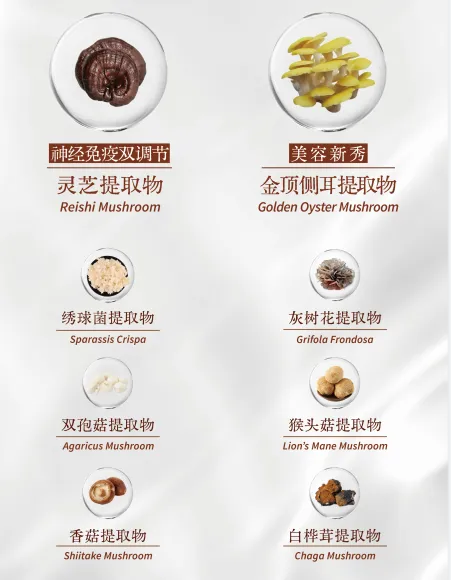 tech-inno 2024 food ingredients china fic