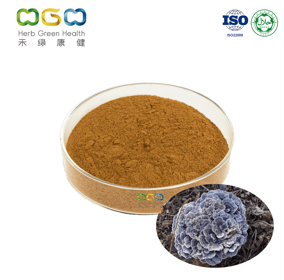 Turkey Tail Mushroom Extract