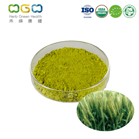 Organic Wheatgrass Juice Powder