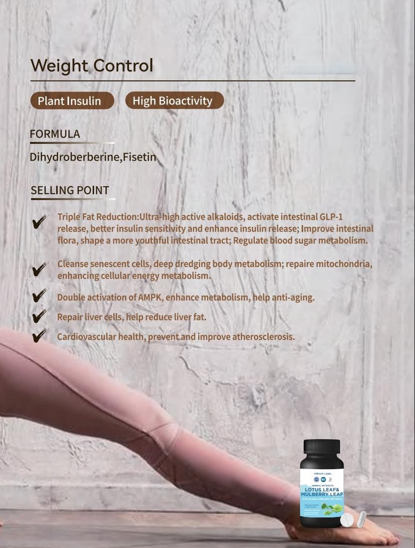 Dihydroberbreine & Fisetin Weight Control Capsule