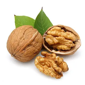 Walnut Extract