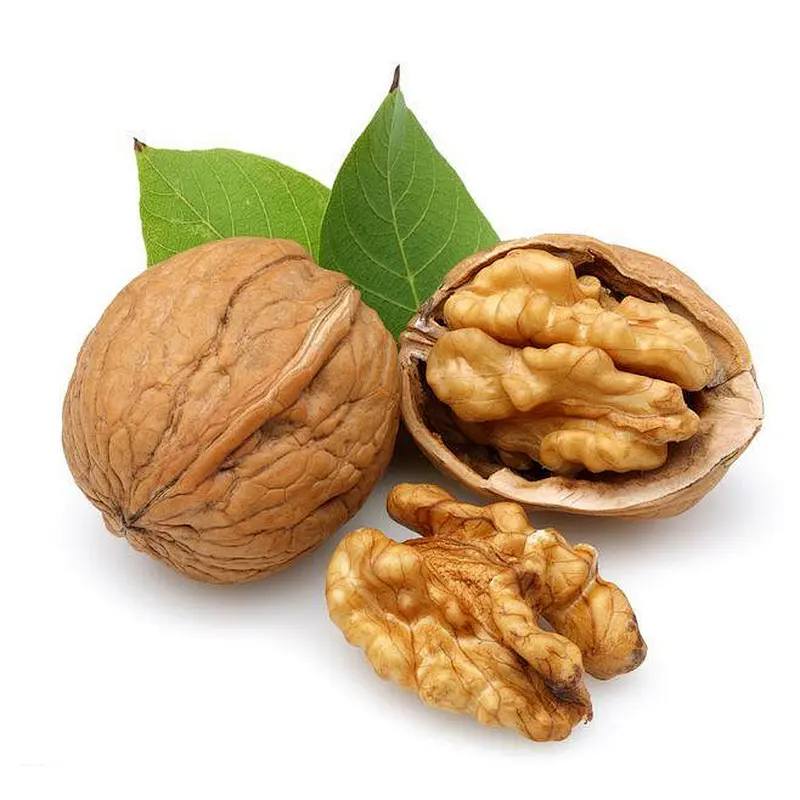 Walnut Extract