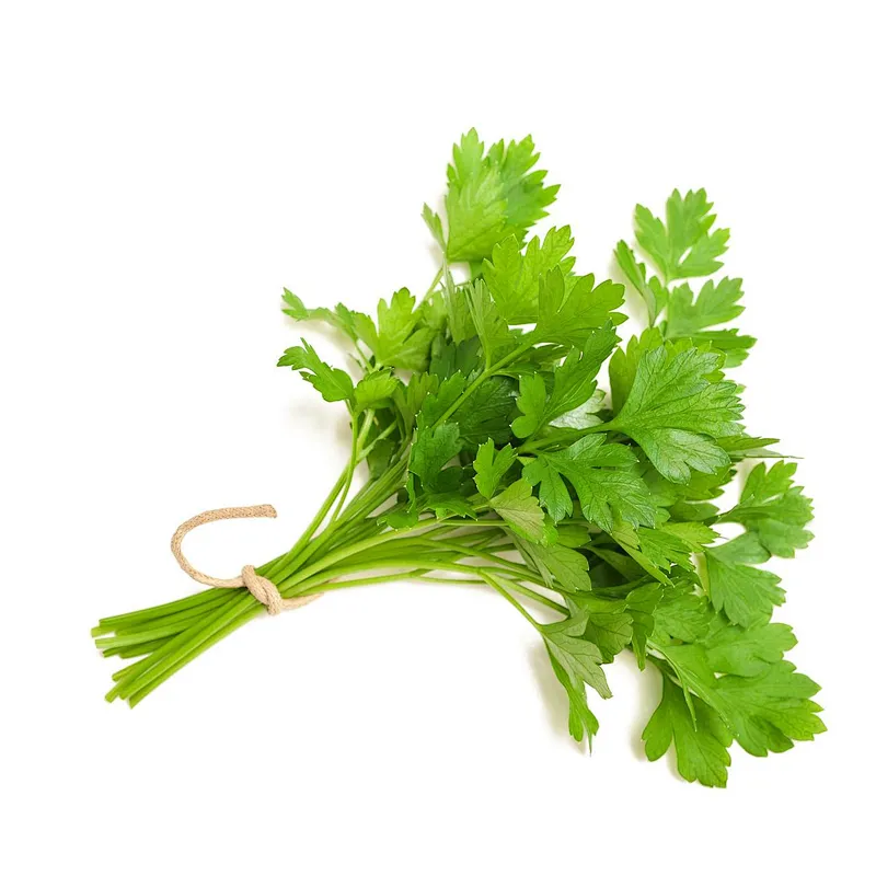 European Nettle Extract