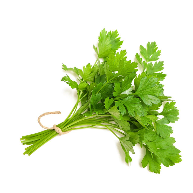 Organic Nettle Leaf Powder