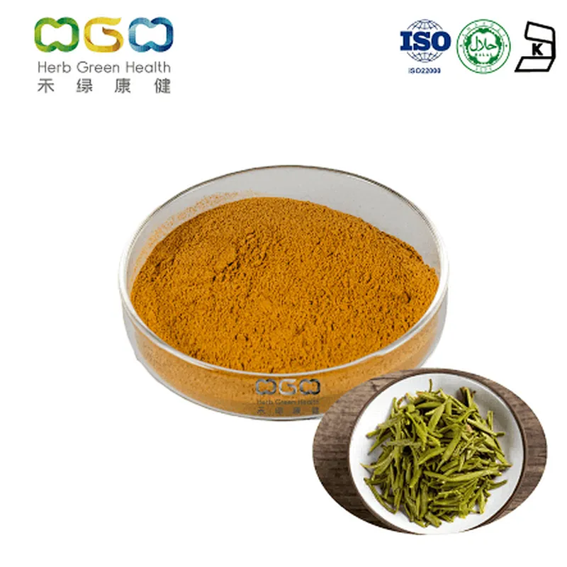 Instant Green Tea Powder