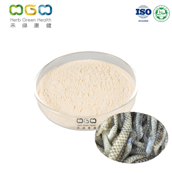 Collagen Tripeptide